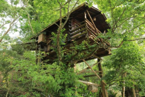  lai Home Country Cottage B&B  Meishan Township